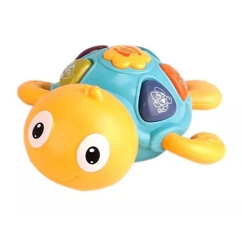 Tortuga Musical 1