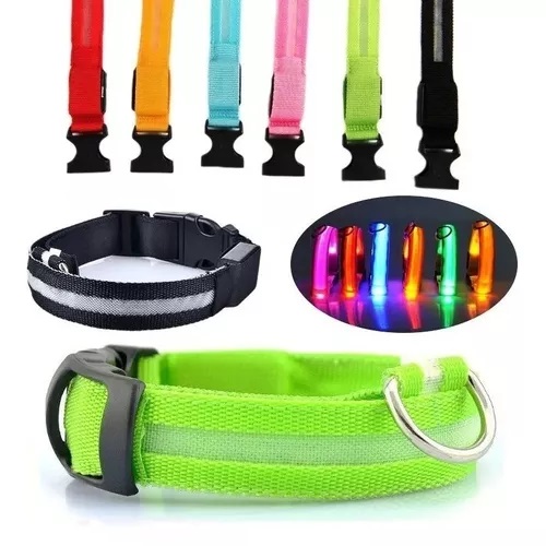 Collar Perro Luminoso Recargable 1