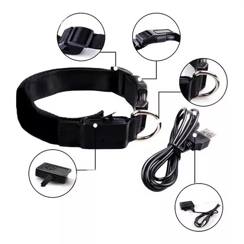 Collar Perro Luminoso Recargable 2
