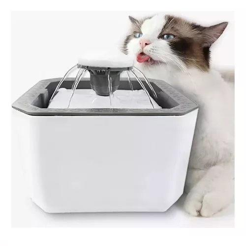 Fuente de Agua 1
