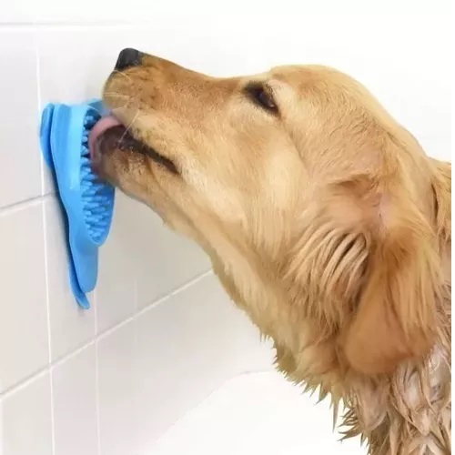 Tapete para Lamer en Pared 1